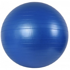 Gym ball 65 cm + pump