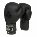 Boxerské rukavice DBX BUSHIDO B-2v12