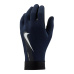 Gloves Nike Academy Therma-FIT Jr. DQ6071-011