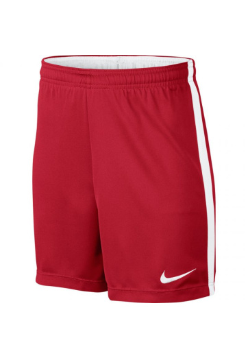Nike Dry Academy KM 832901 657 shorts