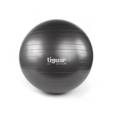 Gym ball tiguar body ball safety plus TI-SP0065G