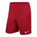 Nike PARK II M 725887-657 Football Shorts
