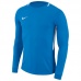 Goalkeeper jersey Nike Dry Park III LS M 894509-406