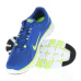 Nike Flex Supreme TR M 525730-401 shoe