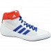 Adidas Havoc M BD7129 shoes