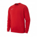 Sweatshirt Nike Crew Y Team Club 19 JR AJ1545-657