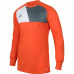 Adidas Assita 17 Junior AZ5398 goalkeeper jersey