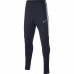 Nike B Dry Academy Junior AO0745-451 football pants